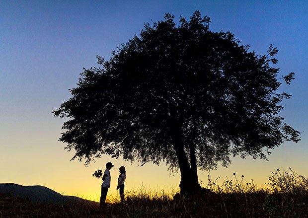 emre-bostanoglu-mansiyon