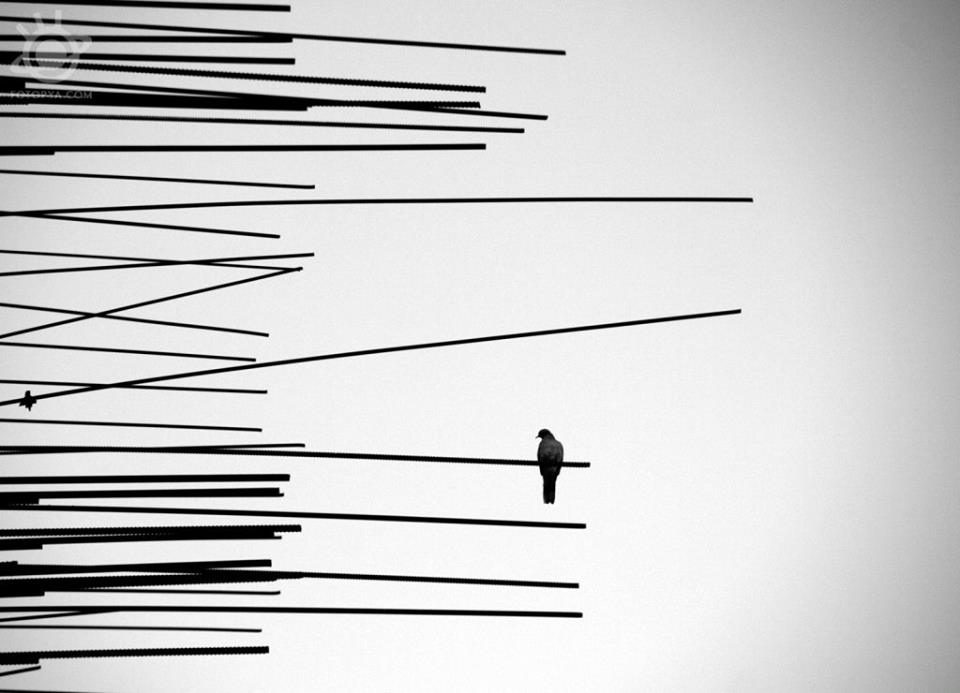 yetiskin-kategorisi-ucuncusu-hulya-samer