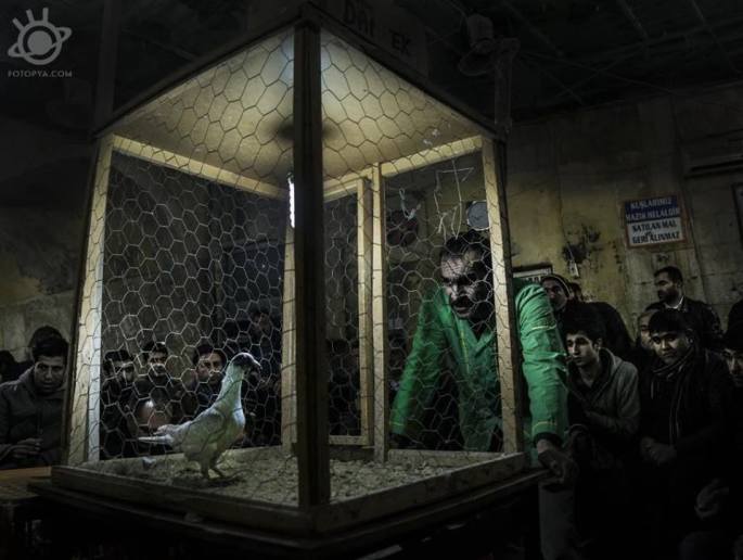 yetiskin-kategorisi-ikincisi-levent-rastgeldi