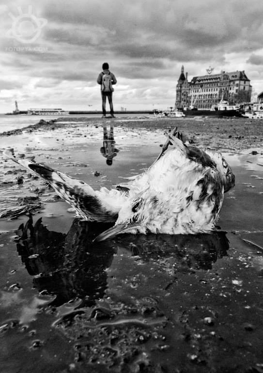 yetiskin-kategorisi-sergileme-alev-ozcan-02