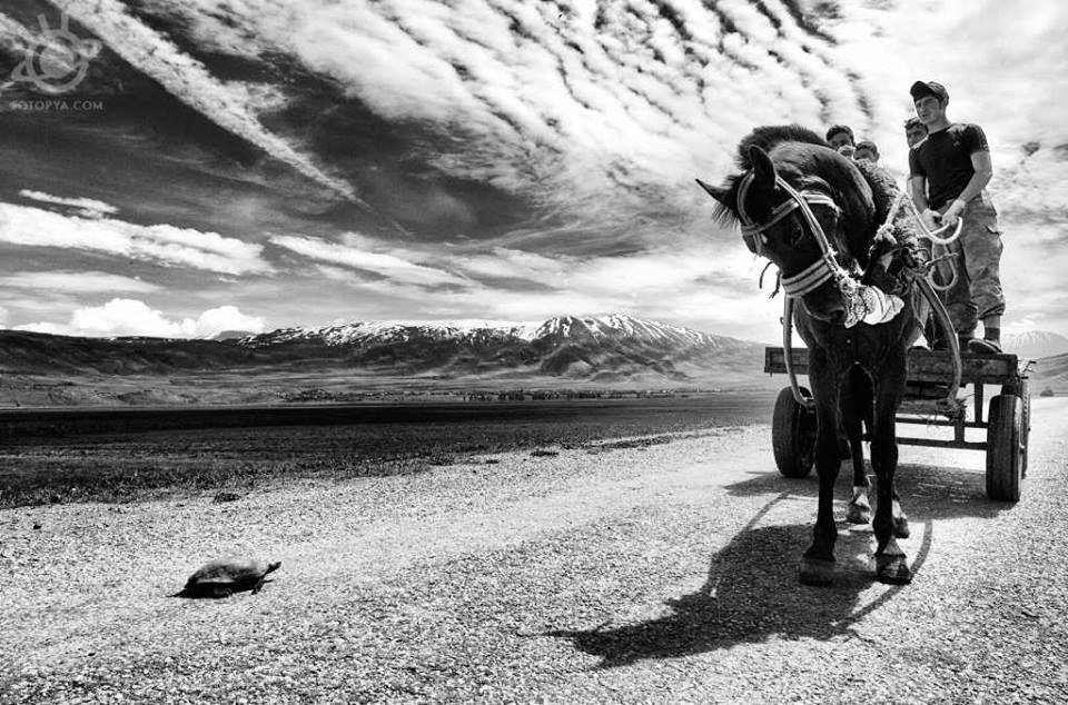 yetiskin-kategorisi-sergileme-alev-ozcan