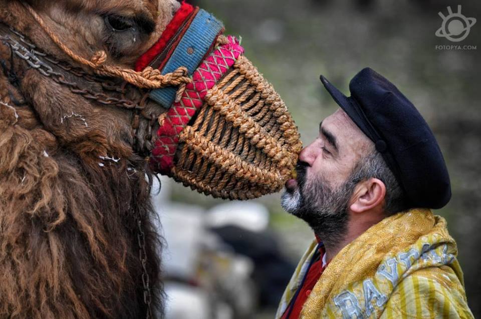 yetiskin-kategorisi-sergileme-arif-miletli