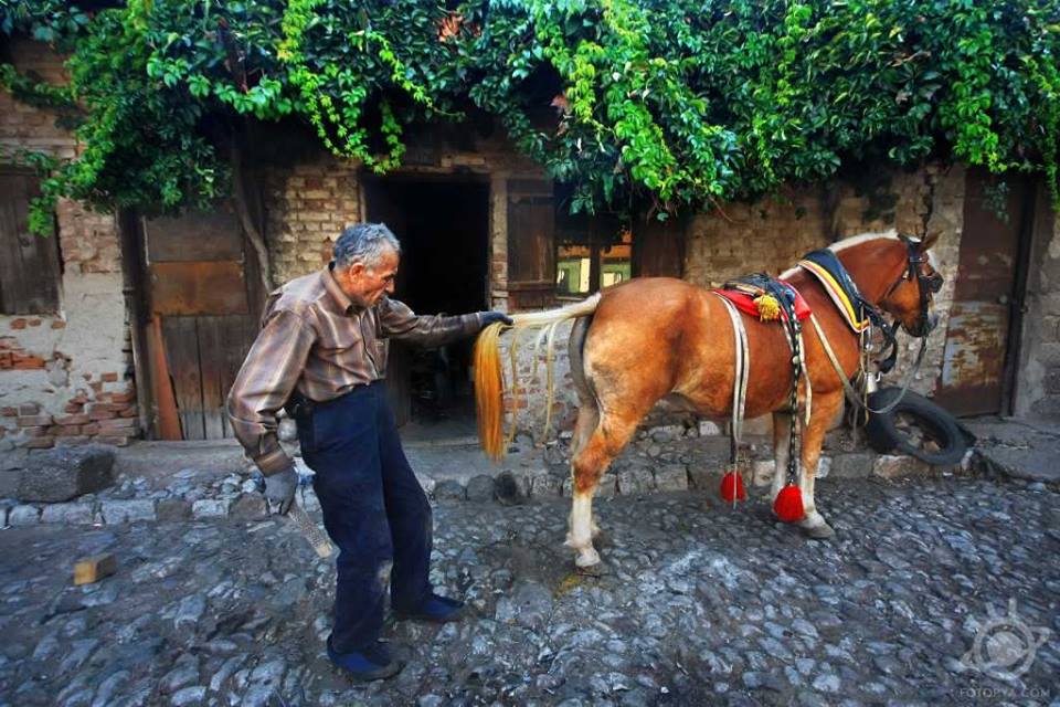 yetiskin-kategorisi-sergileme-kivanc-sen