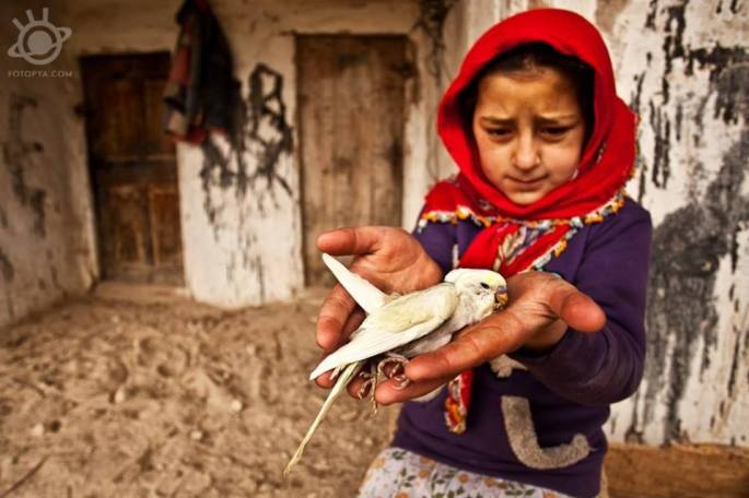 yetiskin-kategorisi-sergileme-mursel-yagcioglu