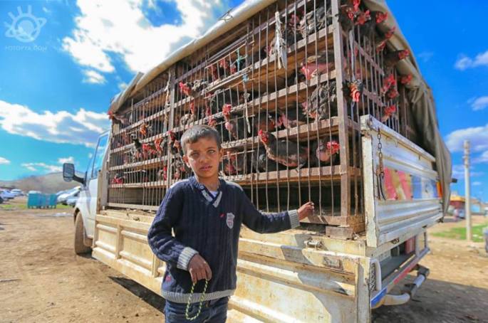 yetiskin-kategorisi-sergileme-mehmet-ali-calkam