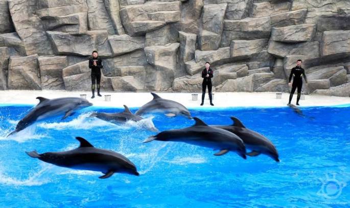 yetiskin-kategorisi-sergileme-mehmet-uluyurt