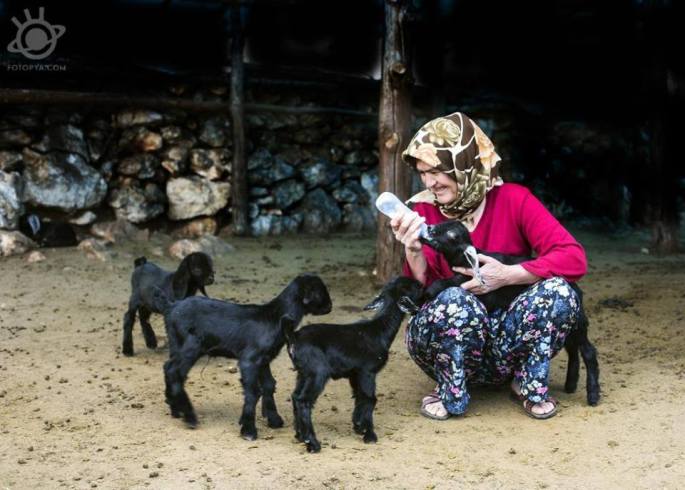 yetiskin-kategorisi-sergileme-veli-dolek