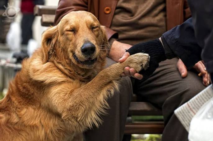 yetiskinler-kategorisi-sergileme-mehmet-aslan-02