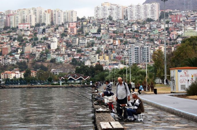 41169-234-tfsf-t2iye