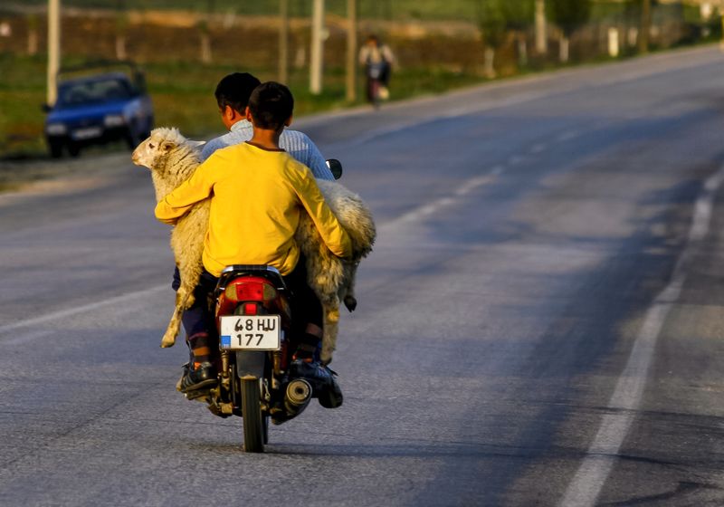 ali-cobanoglu-sergileme-yolhali