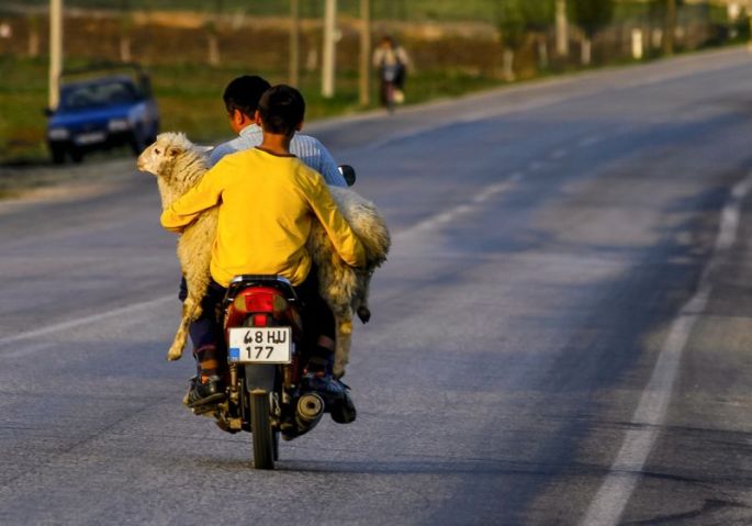 ali-cobanoglu-sergileme-yolhali