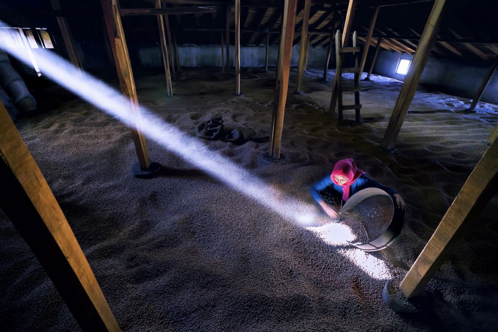 02-cihan-karaca-leblebi-ucunculuk-odulu