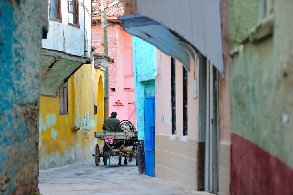 13-gulsun-arslan-at-arabasi-sergileme