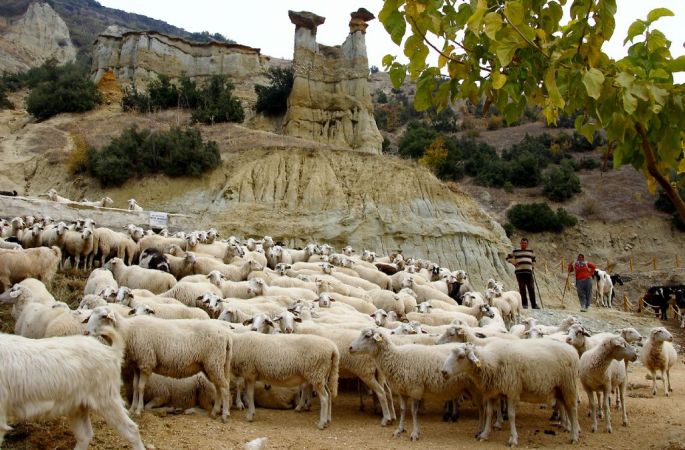 17-nedim-yalcin-kiremitci-peribacalari-sergileme