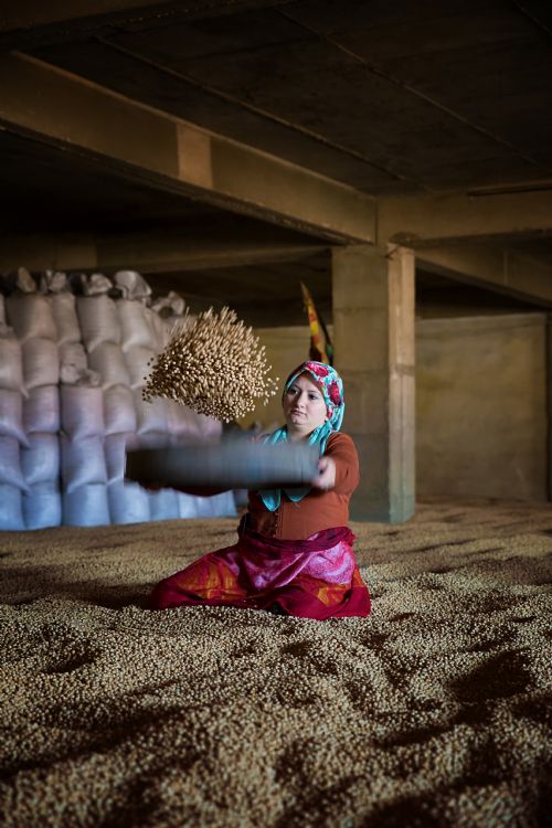 48-halime-ilkme-nohut-sergileme