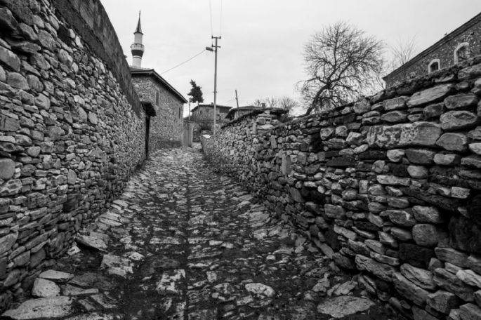 53-erol-keyvan-goldede-sergileme