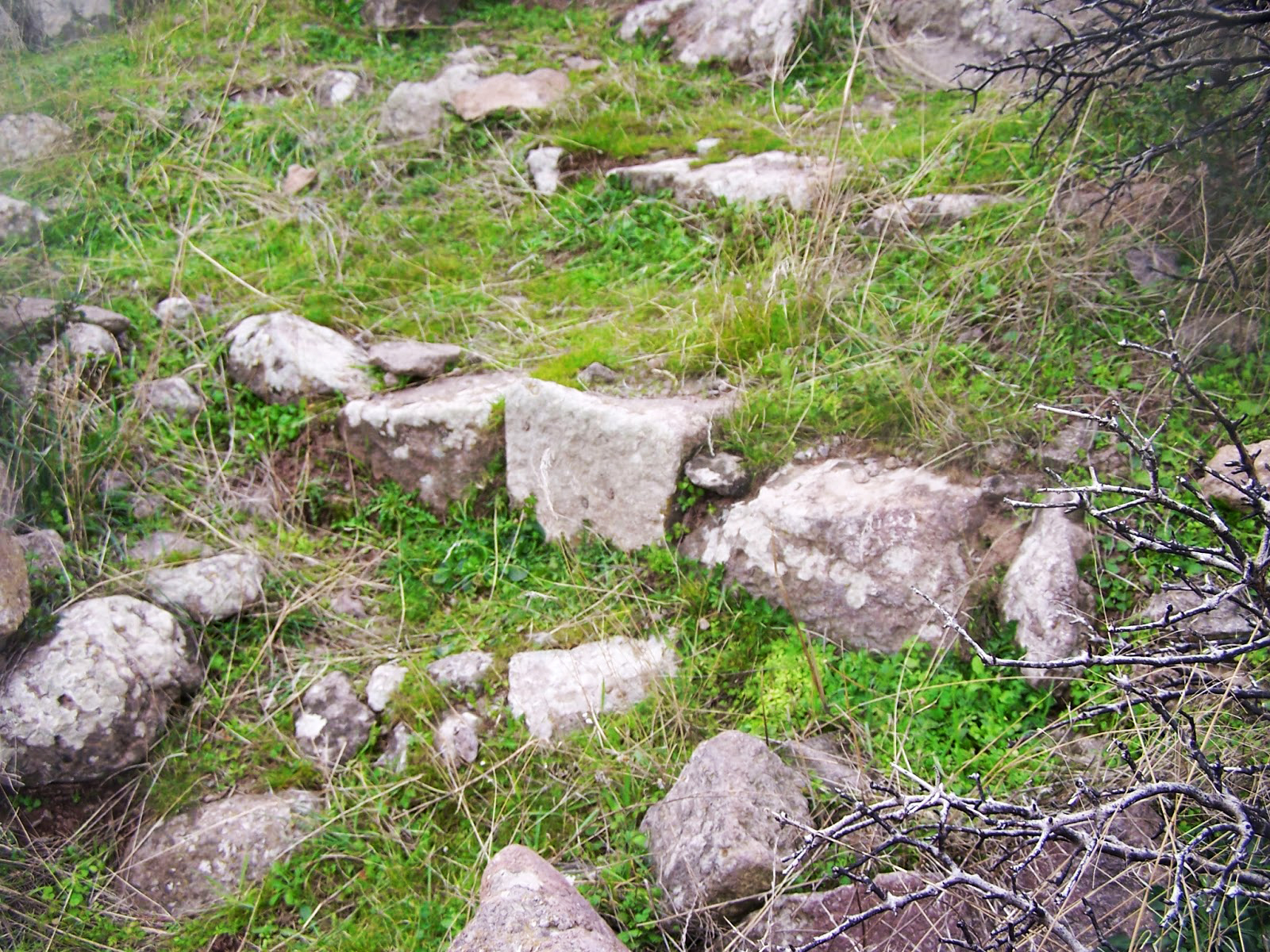 akropol-005-basamak-temelleri-ibrahim-fidanoglu