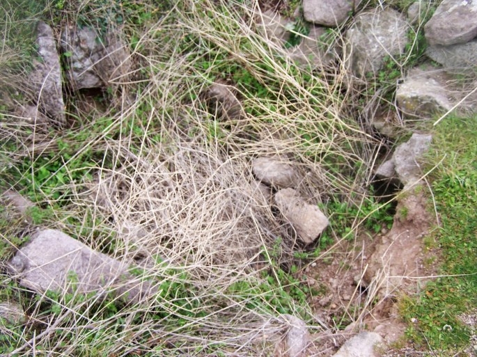 akropol-006-sarnic-ibrahim-fidanoglu