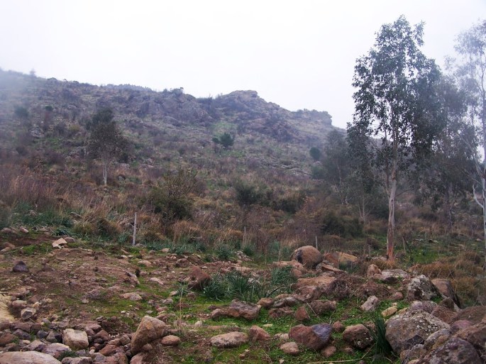 akropol-010-mehmet-yavuzcezzar