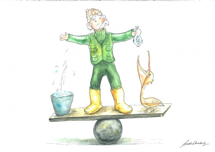 beste-derebek-mansiyon