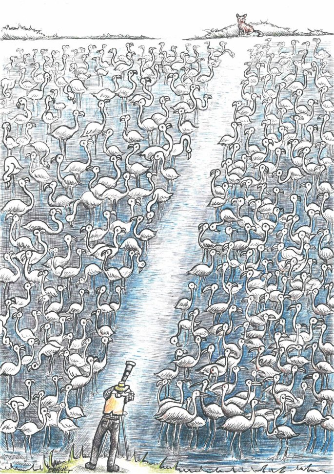 faruk-soyarat-birincilik-odulu