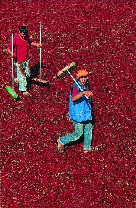 yavuz-yaman-biberci-gencler-gaziantep-ucunculuk-odulu