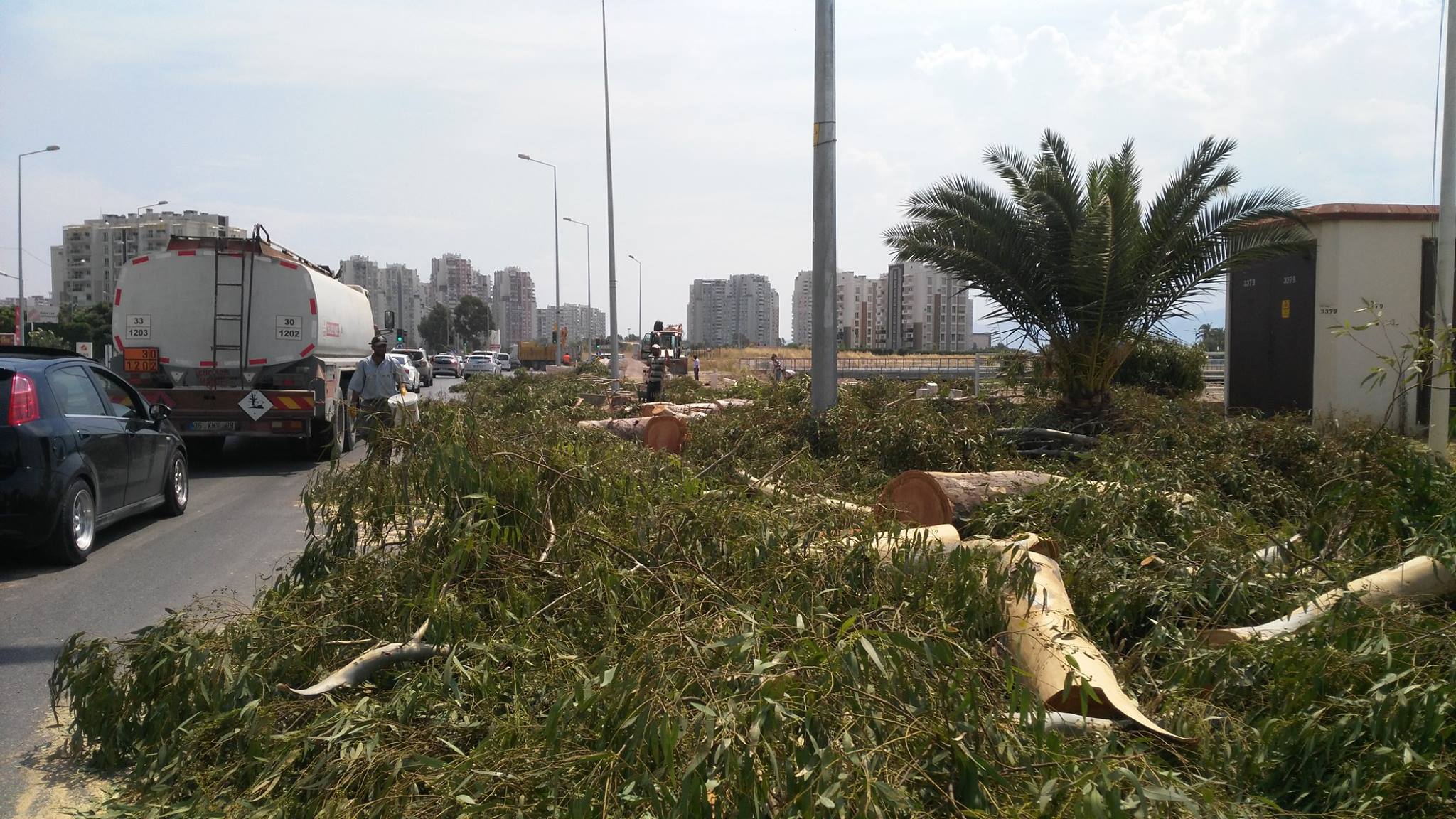 11893821_1115186608510858_8922454894651660317_o