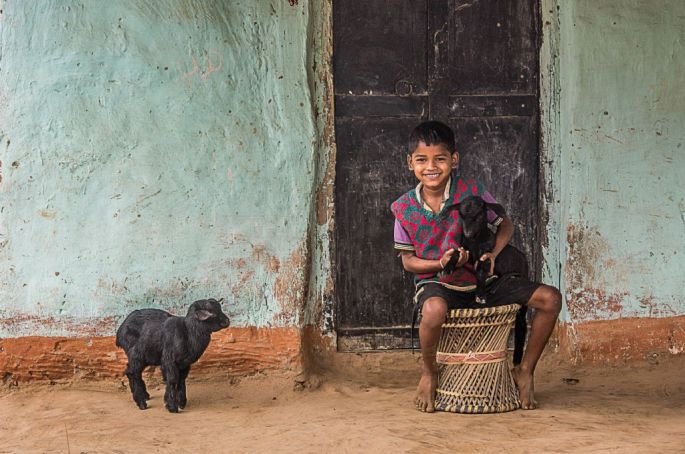 areen-basak-hindistan-sergileme-playmates