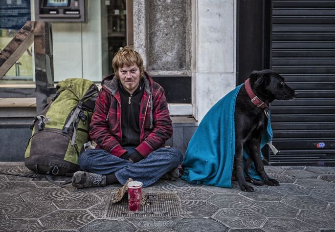 sener-tekci-sergileme-sadik-dost