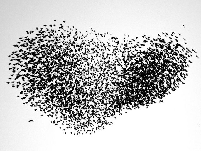 emine-toprak-sergileme-yureginiz-sevgi-kuslari-ile-dolsun