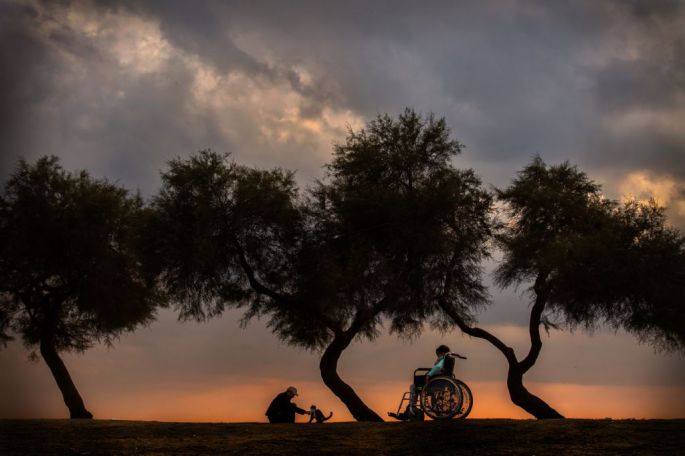 esengul-alici-sergileme-sevkat