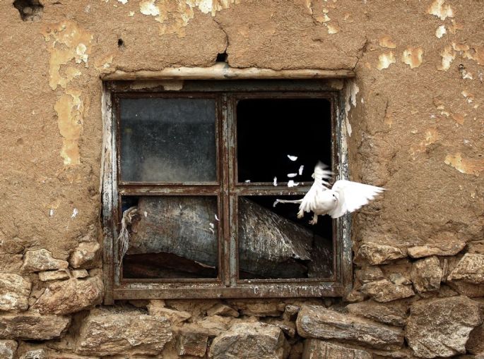 kazim-kuyucu-sergileme-baris