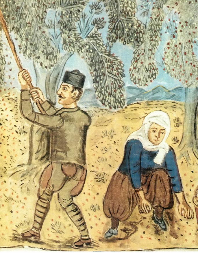 midillide-zeytin-toplama-ayrinti