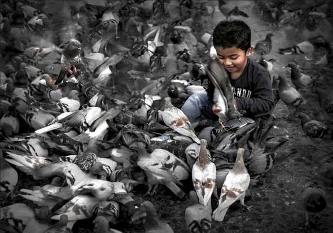 sergey-moskvin-rusya-sergileme-boy-and-pigeons