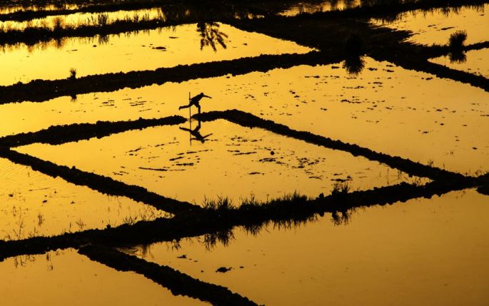 Ali Acar - Sergileme - Çizgiler