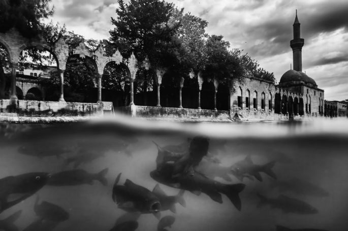 Giray Kocaman - Mansiyon - Su