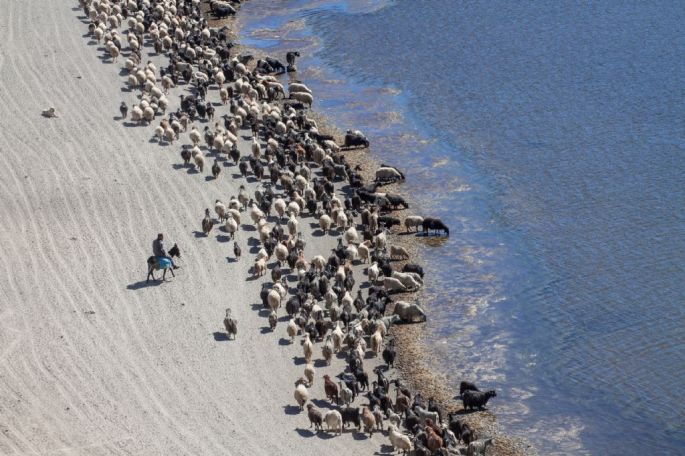 Mahmut Özdemir - Sergileme - Su Molası