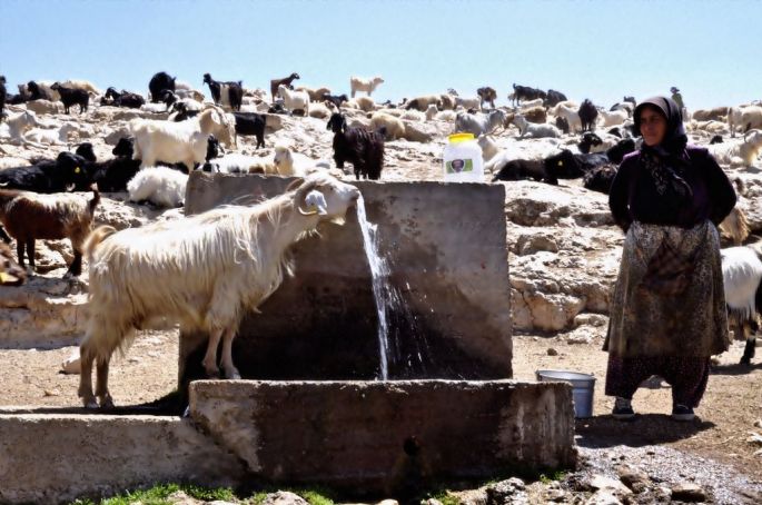 Nevdet Ortauğurlu - Serghileme - Saygı