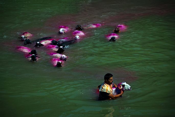 Salim Şimşek - Sergileme - Gelenek