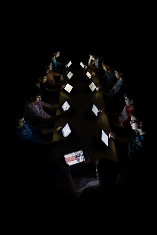 Oğuz İpçi - Sergileme - Bilgi Ağacı