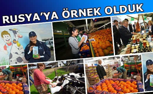 p18ihltd7s1ubf164843l1mes1n2i4