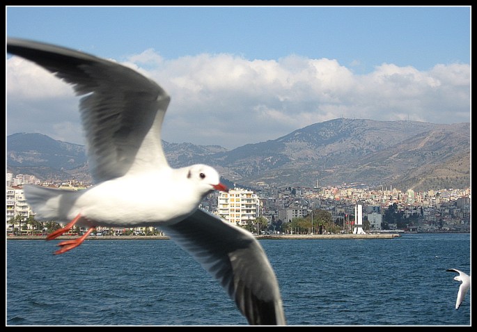 Atatürk, Annesi ve Kadın Hakları Anıtı 010