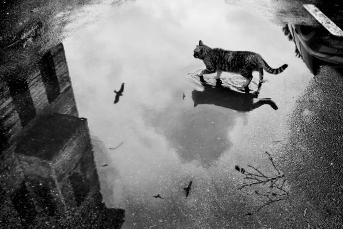 Ümran İnceoğlu, Yağmurdan Sonra