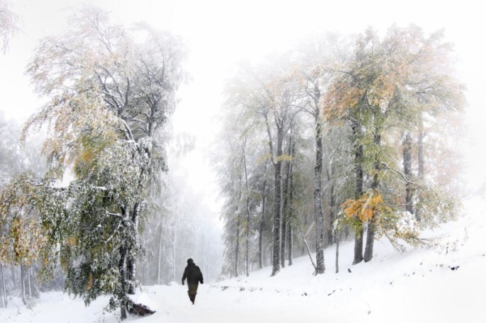 Ahmet Zeki OKur - Macera