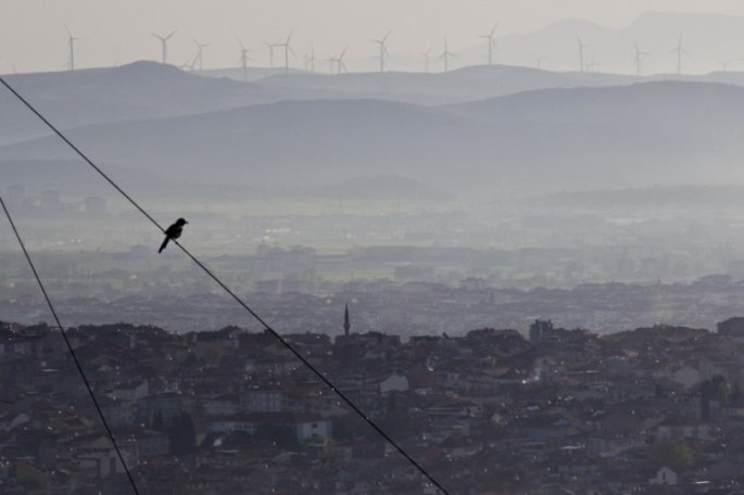 Halit Bozkuş - Seyir