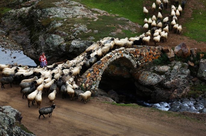 Mustafa Zengin - Taşköprü