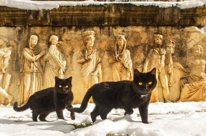 Yılmaz Topçu - Aydın