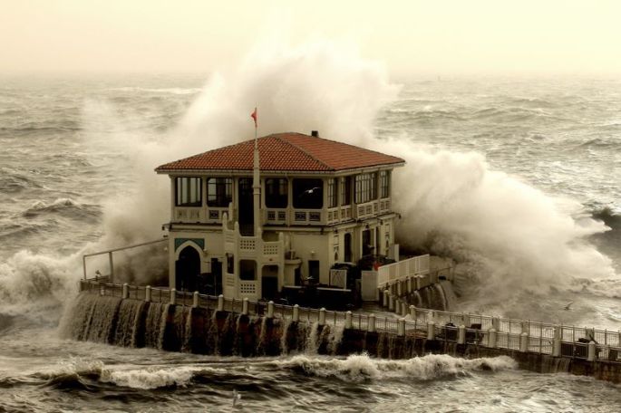 Zafer Fişek - Lodos