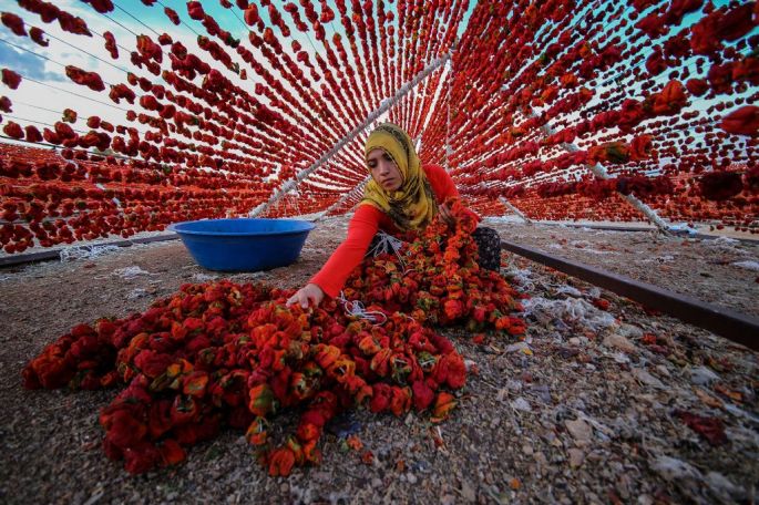 14743-282-tfsf-enjJx