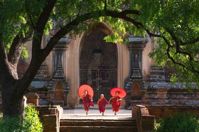 19313-305-tfsf-FtRCj